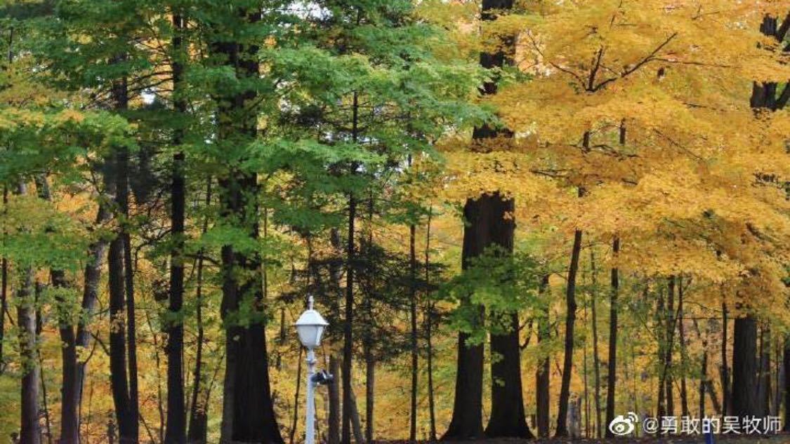 全民k歌自助下单平台有哪些